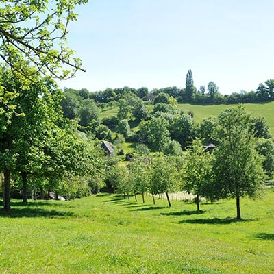 Vallée augeronne typique du terroir